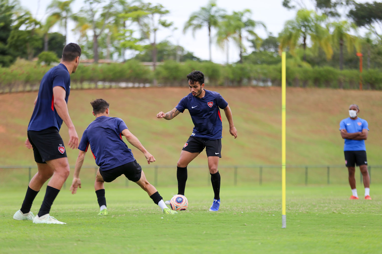 Dragão conhece a tabela da Copa Paulista - Desportivo Brasil